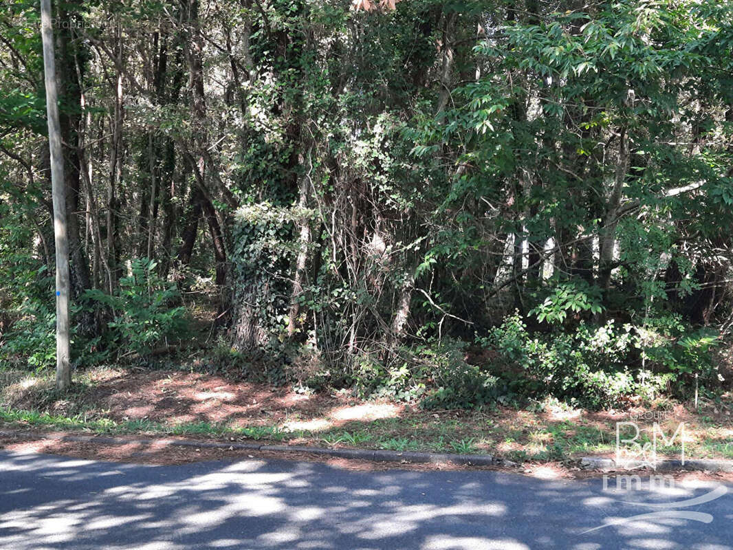 Terrain à BENESSE-MAREMNE