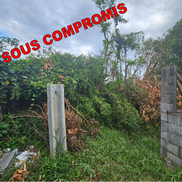 Photo 3 - Terrain à SAINT-ANDRE