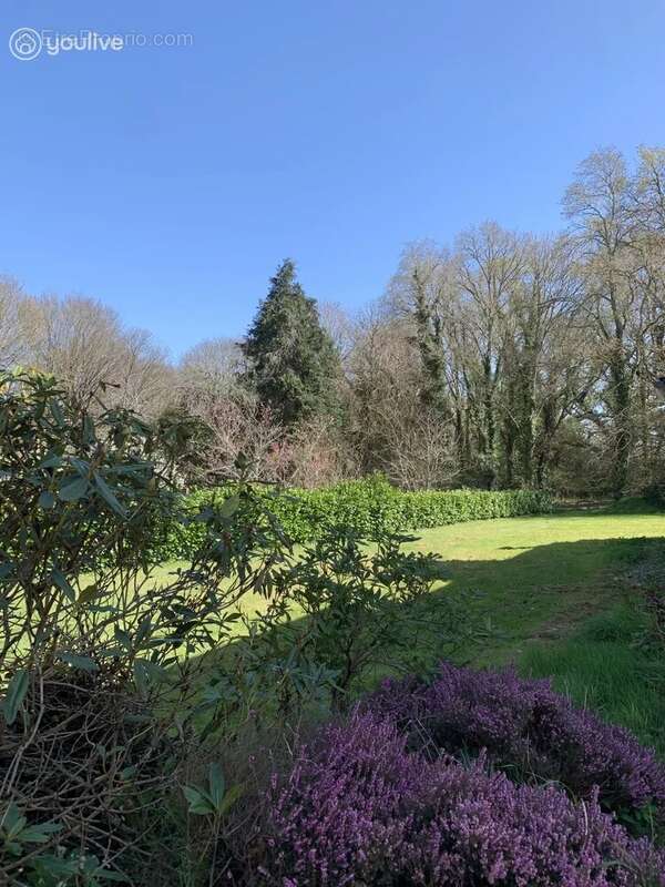Maison a vendre à fouesnant : la nature & les volumes - photo 7