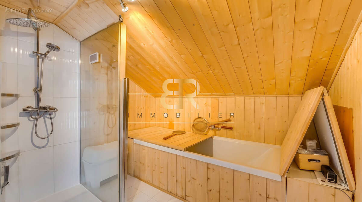 Loft atypique de 190 m2 avec terrasse, sauna sec, jacuzzi, calme et  lumineux - photo 12