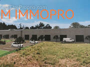 Commerce à MONTAUROUX