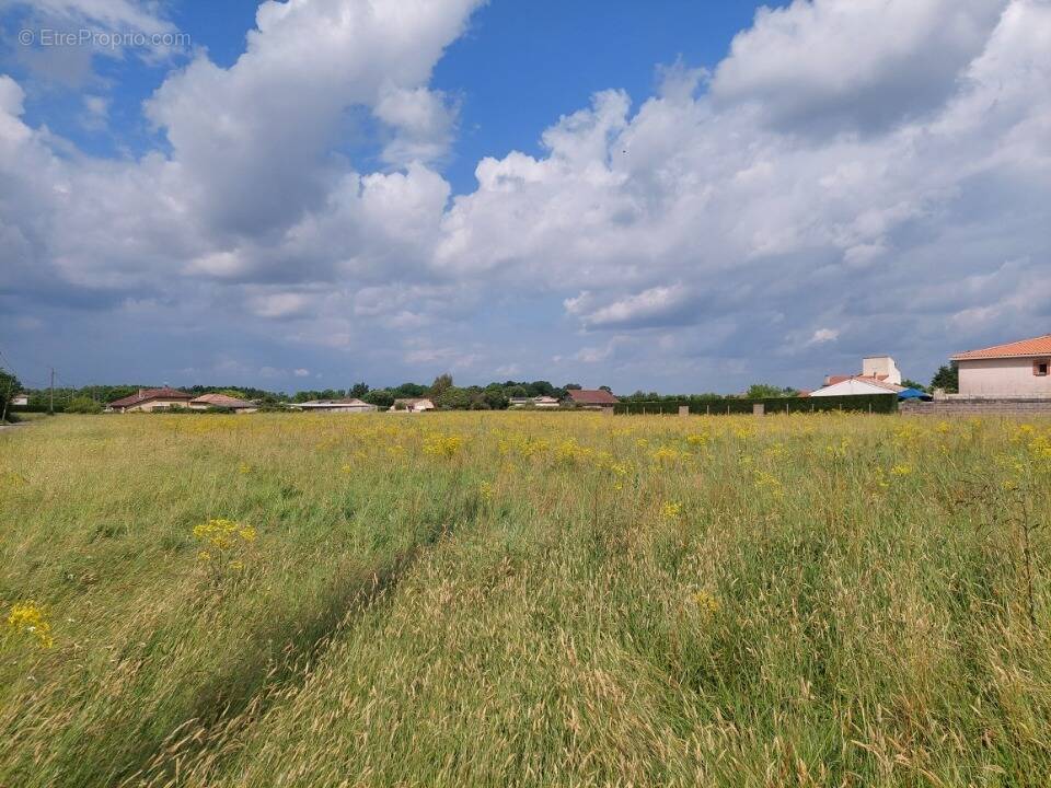 Terrain à MONTBETON