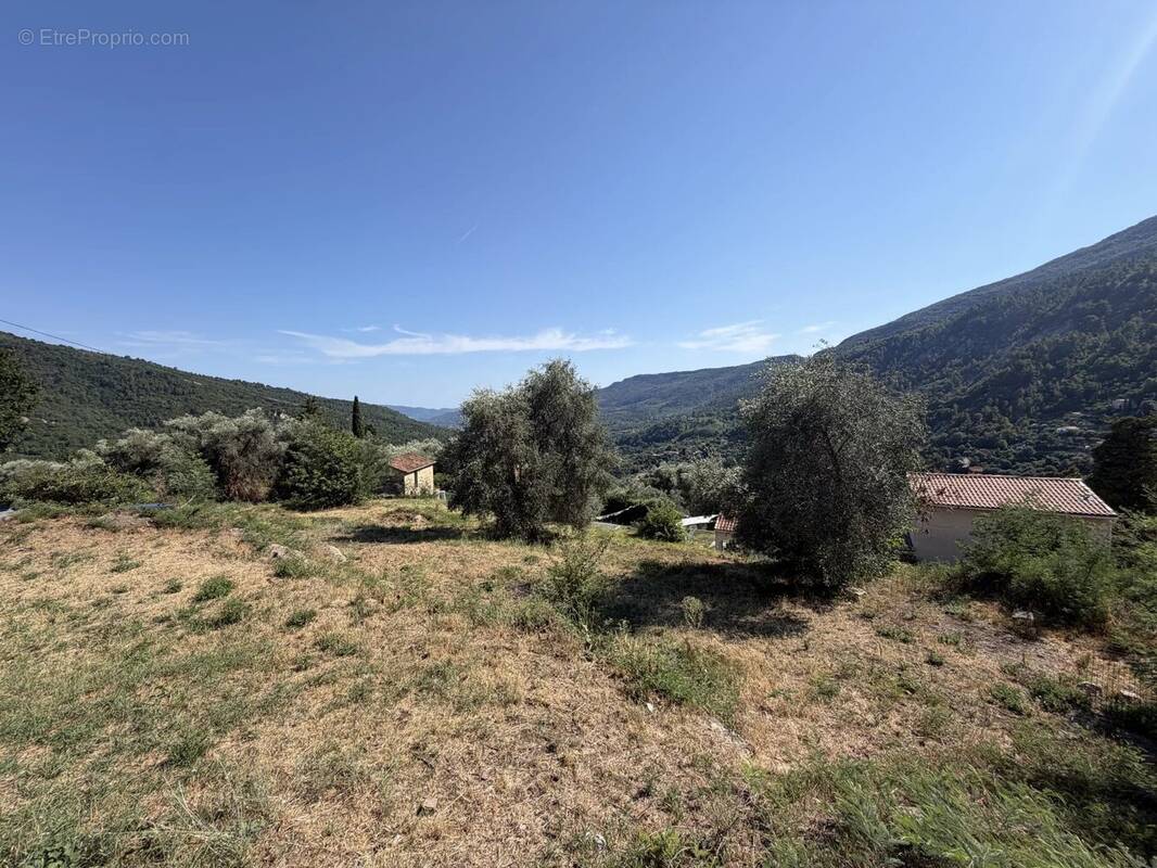 Terrain à COARAZE