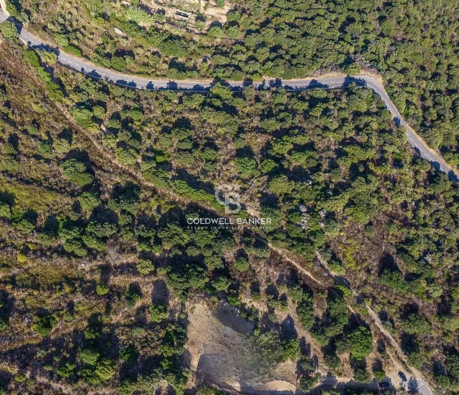 Terrain à MONTICELLO