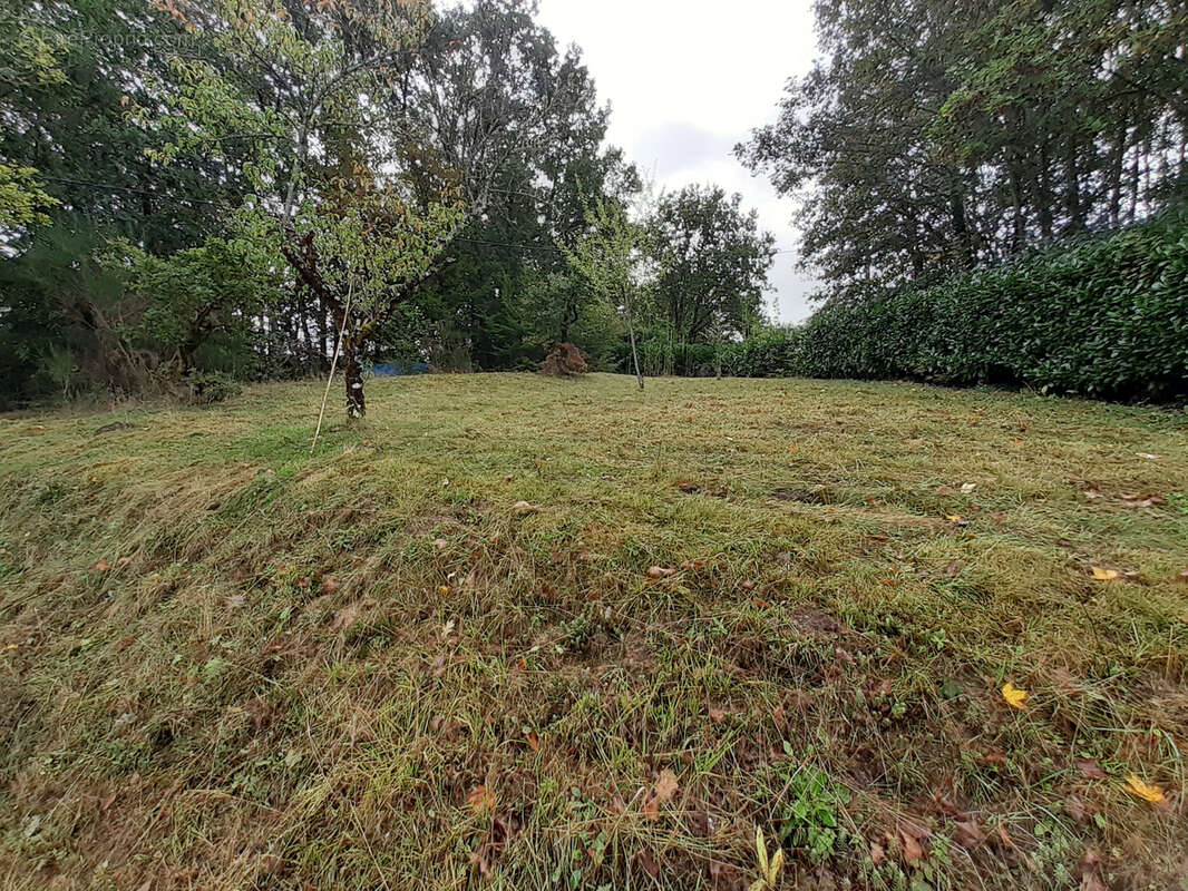 Idéal maison de famille - photo 6