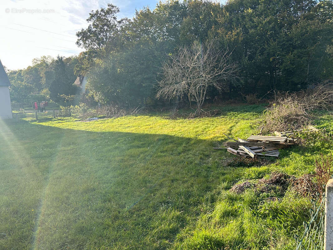 Terrain à MONDEVILLE