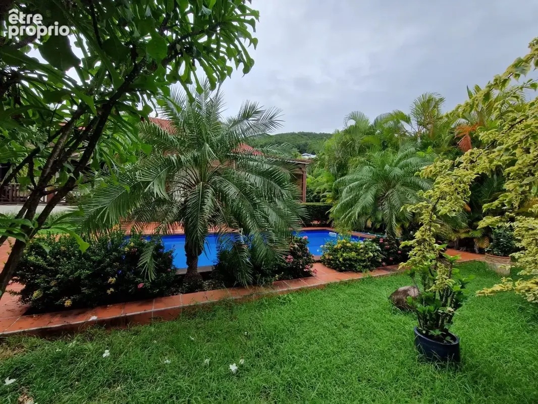 DESHAIES, Villa plage à pied, 2 bungalow, garage et piscine, sur 1 965 m² de terrain arboré - photo 7
