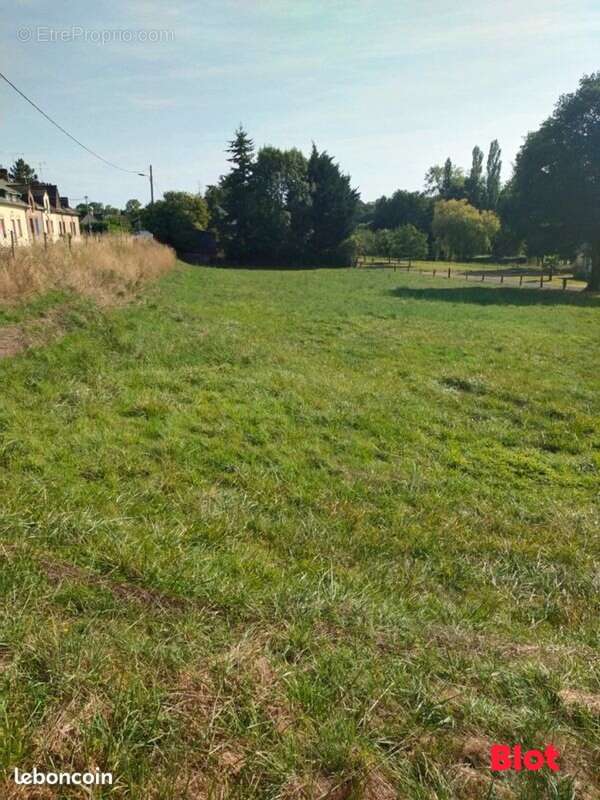 Terrain à LE BOURGNEUF-LA-FORET