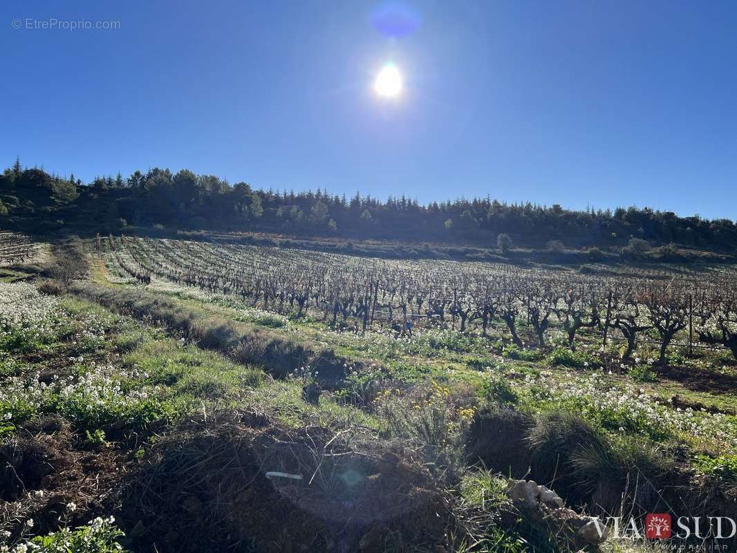 Maison à SAINT-CHINIAN