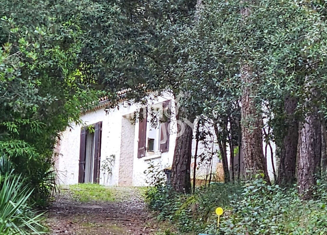 Maison à PALAJA
