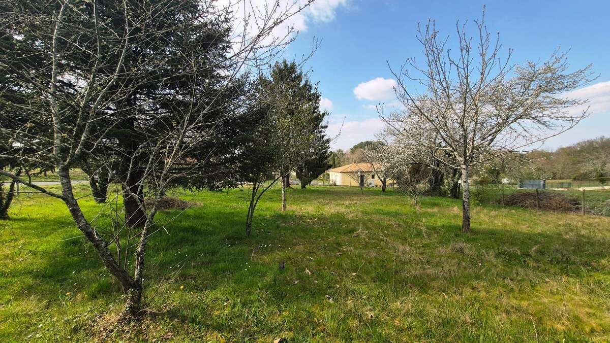 Terrain à EGLISE-NEUVE-DE-VERGT