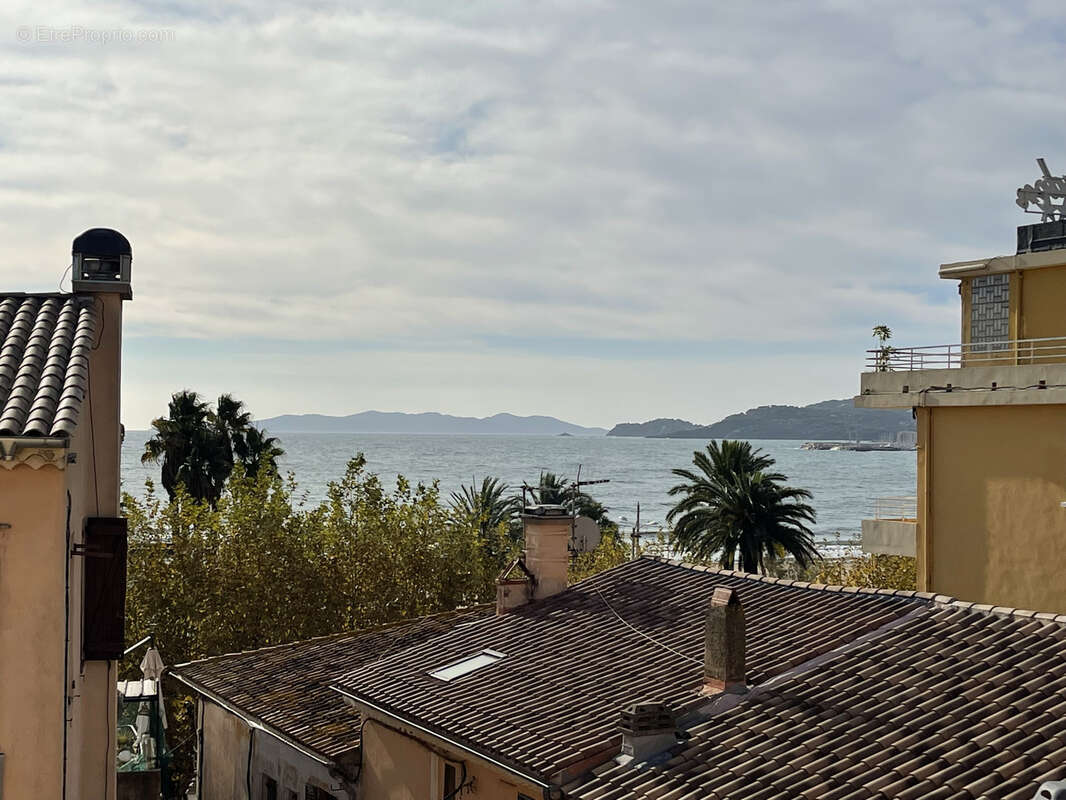 Commerce à LE LAVANDOU