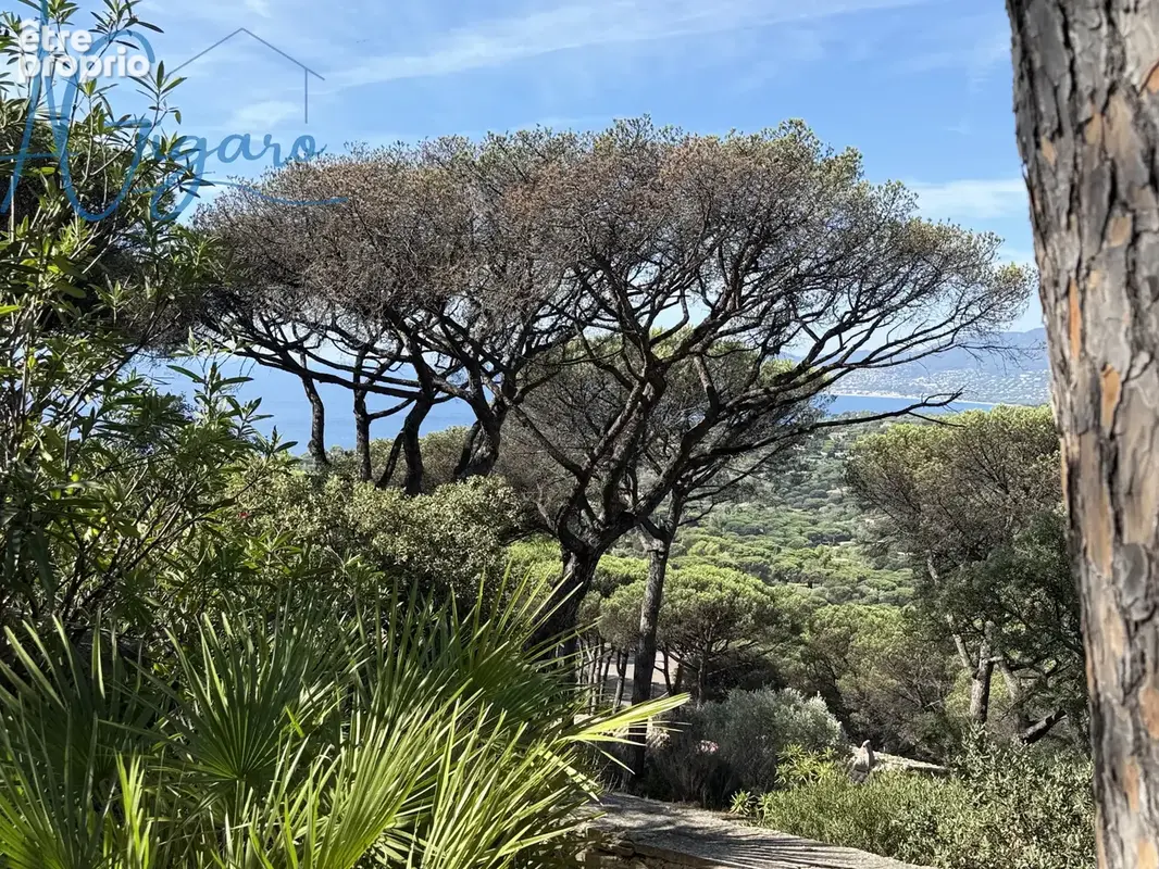 RARE 2 pièces sur 2 niveaux vue mer - photo 3