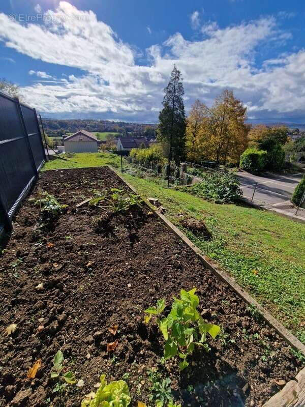 Maison à NEUFCHATEAU