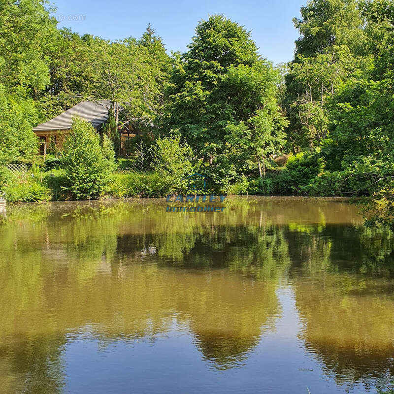 Chalet avec étangs - Le Château d'Esboz - LA BRUYERE 70280 - photo 23