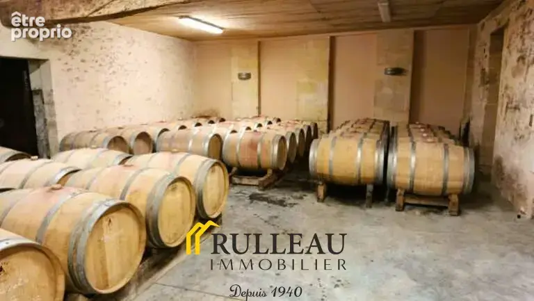 A vendre Propriété d'exception à Berson - Entre charme et potentiel - photo 10