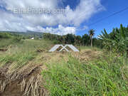 Terrain à SAINT-JOSEPH