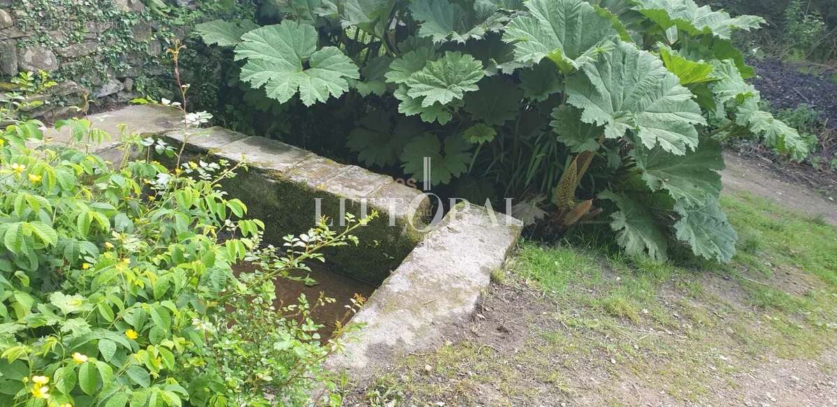 Terrain à PLOUGONVELIN