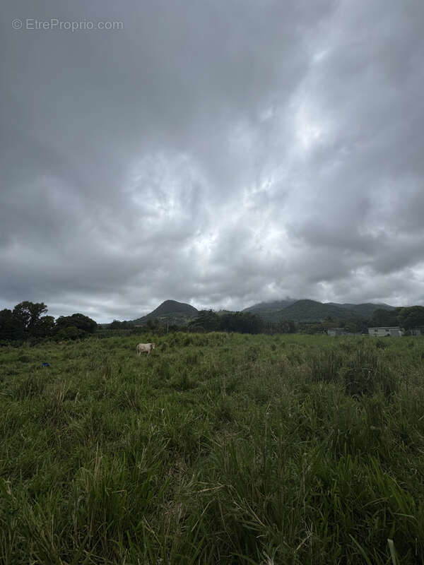 Terrain à CAPESTERRE-BELLE-EAU
