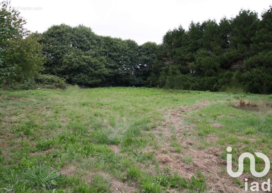 Photo 5 - Maison à CALAN