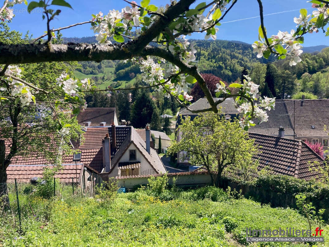 Maison à SAINTE-MARIE-AUX-MINES