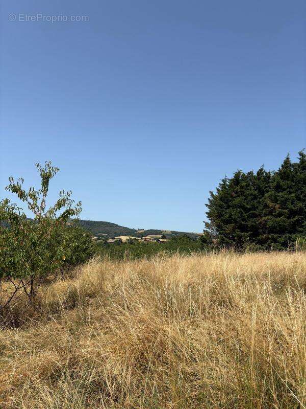 Terrain à LES HAIES