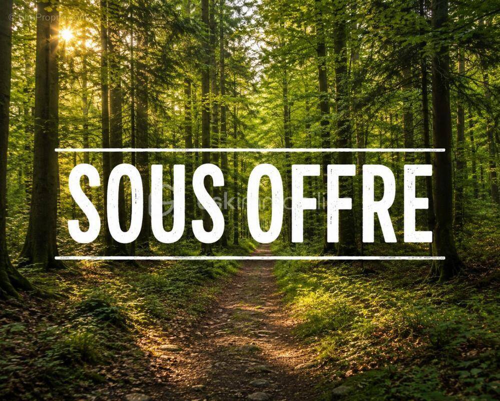 Terrain à BRUNET