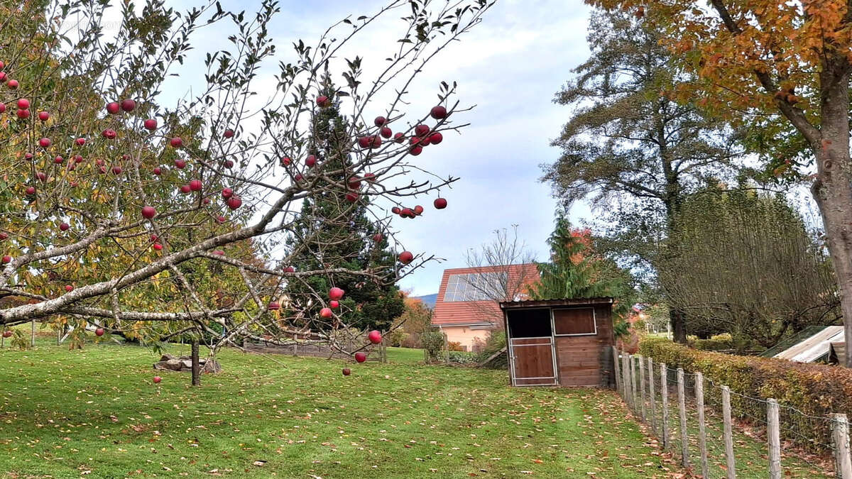 Maison à NOMPATELIZE