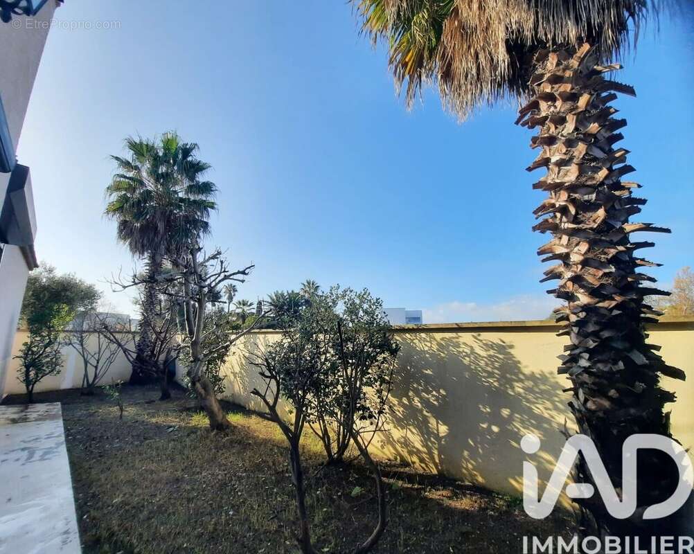 Photo 6 - Maison à LA GRANDE-MOTTE