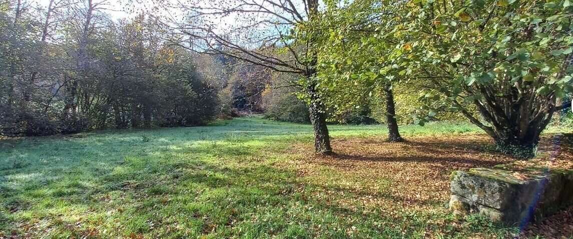 Maison à PEYRAT-LE-CHATEAU