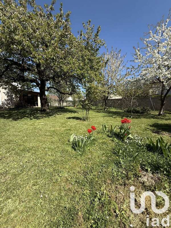 Photo 6 - Maison à AUXERRE