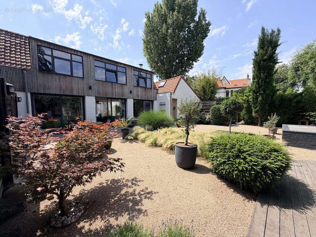 Vue arrière de la maison - Maison à VILLENEUVE-D'ASCQ