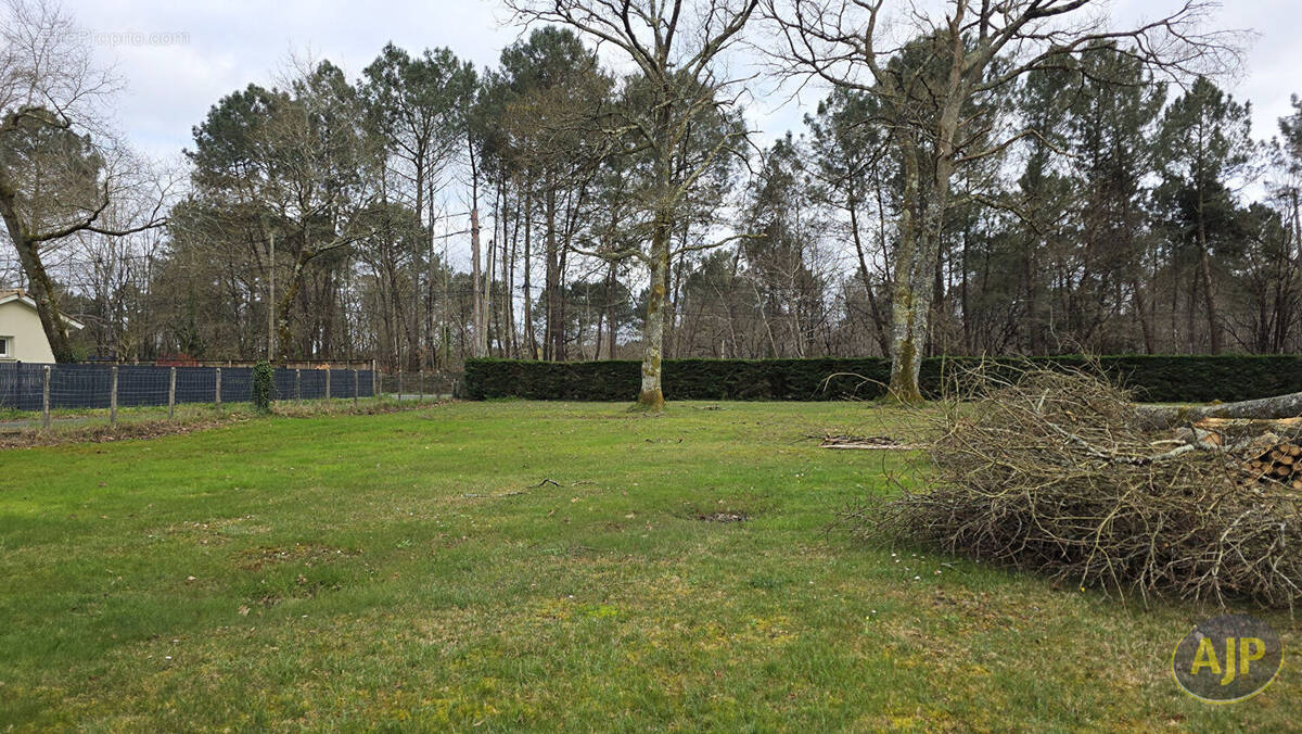 Terrain à SAINT-JEAN-D'ILLAC