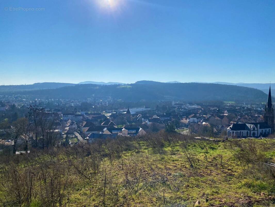 Terrain à MUTZIG