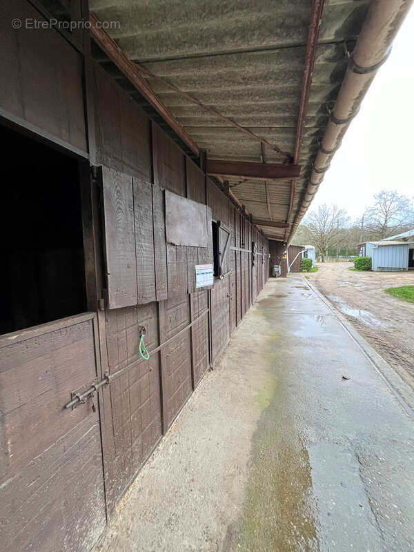 Maison à LIGNY-LE-RIBAULT
