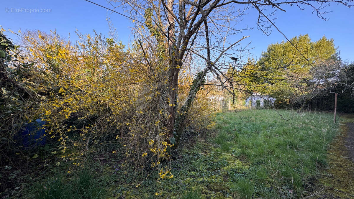 Maison à COSNE-COURS-SUR-LOIRE