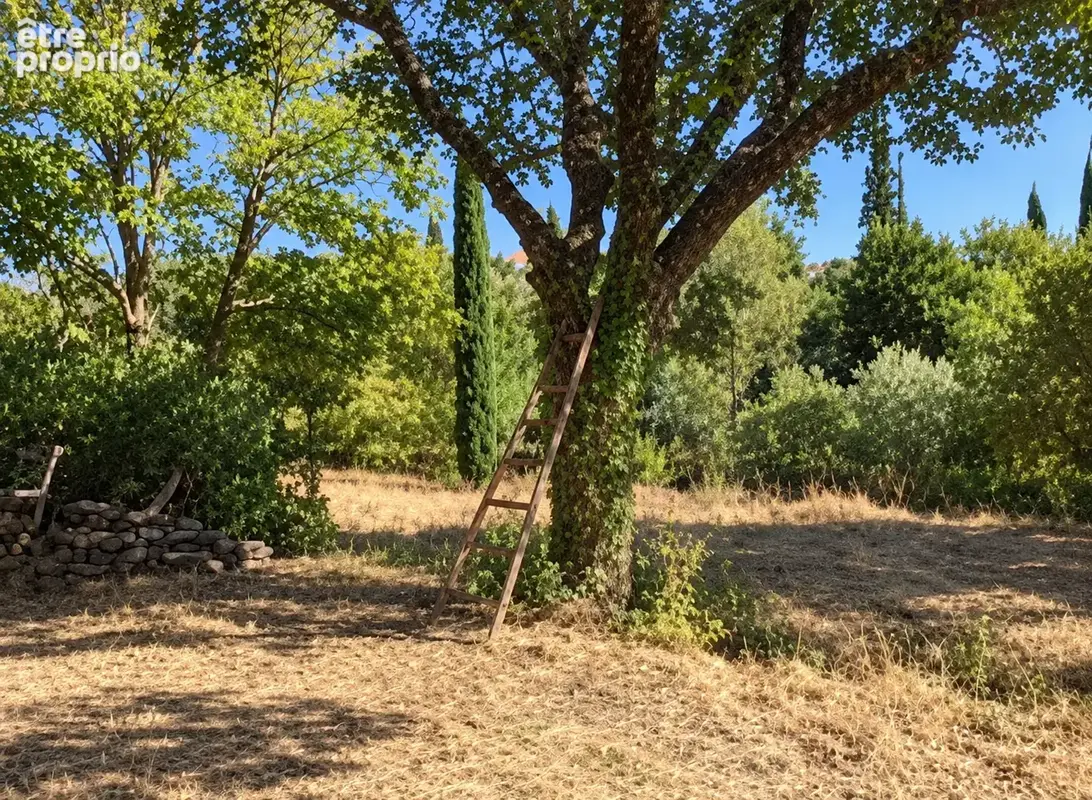 Terrain à CARCES