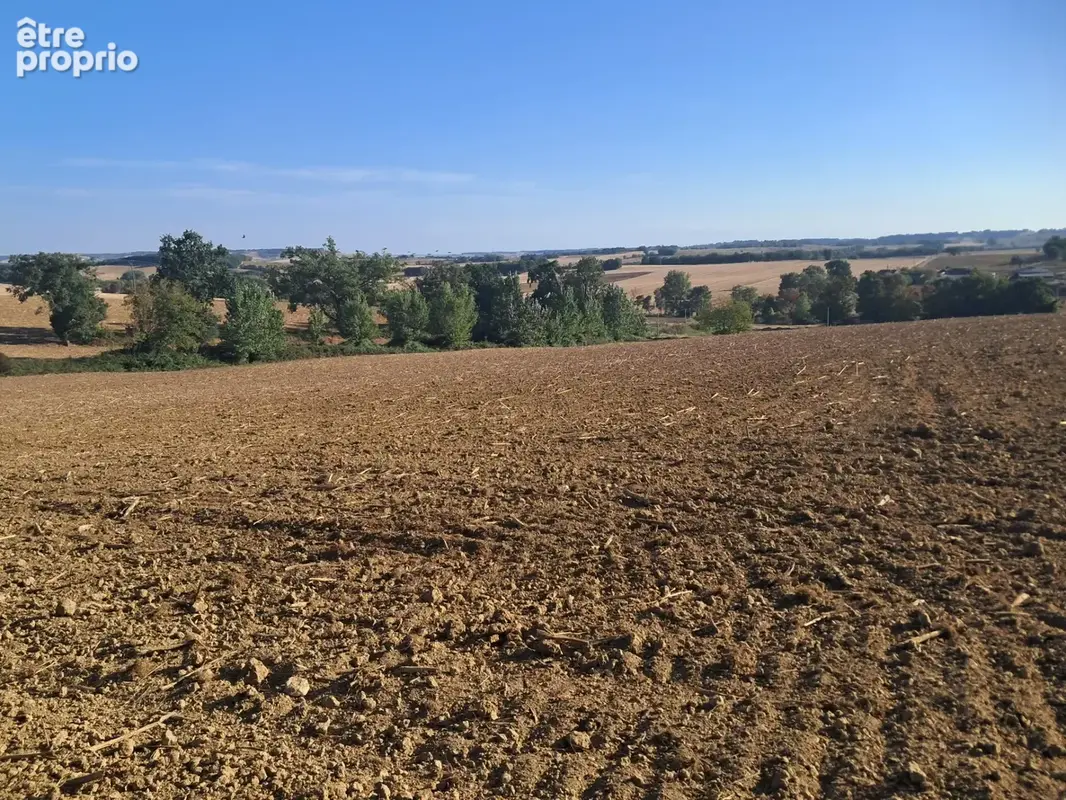Terrain à vendre de 9403m2 PERGAIN TAILLAC (32) - photo 5