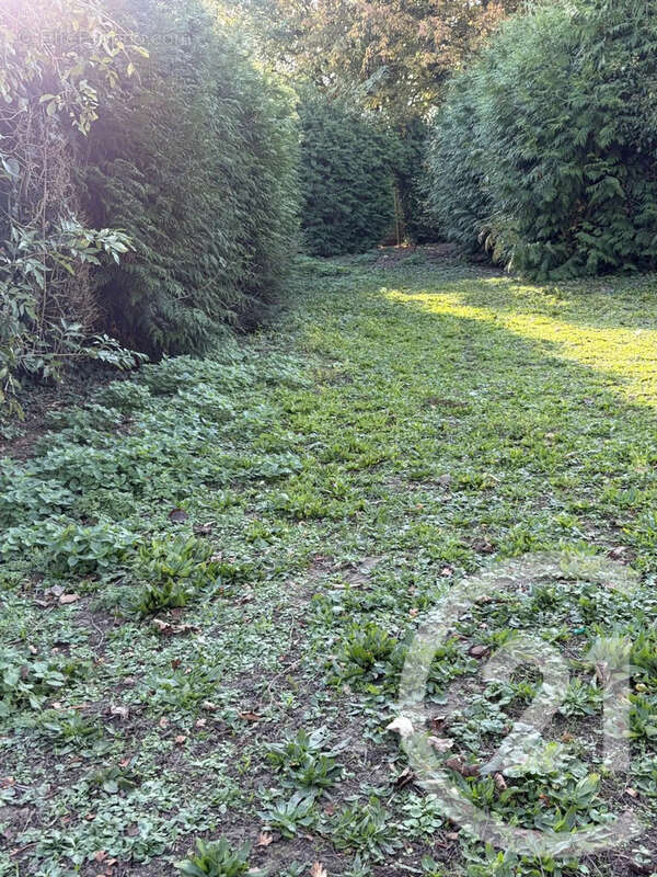 Terrain à PERONNE