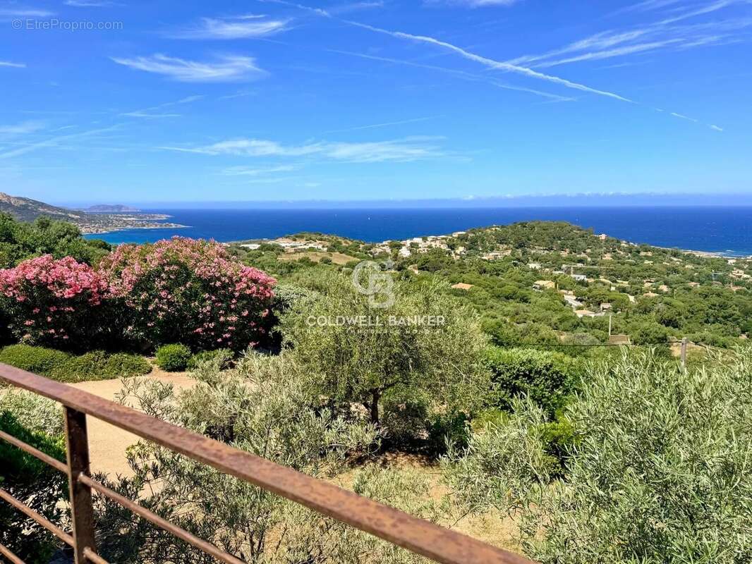 Corbara - Villa de Charme vue Panoramique - photo 44