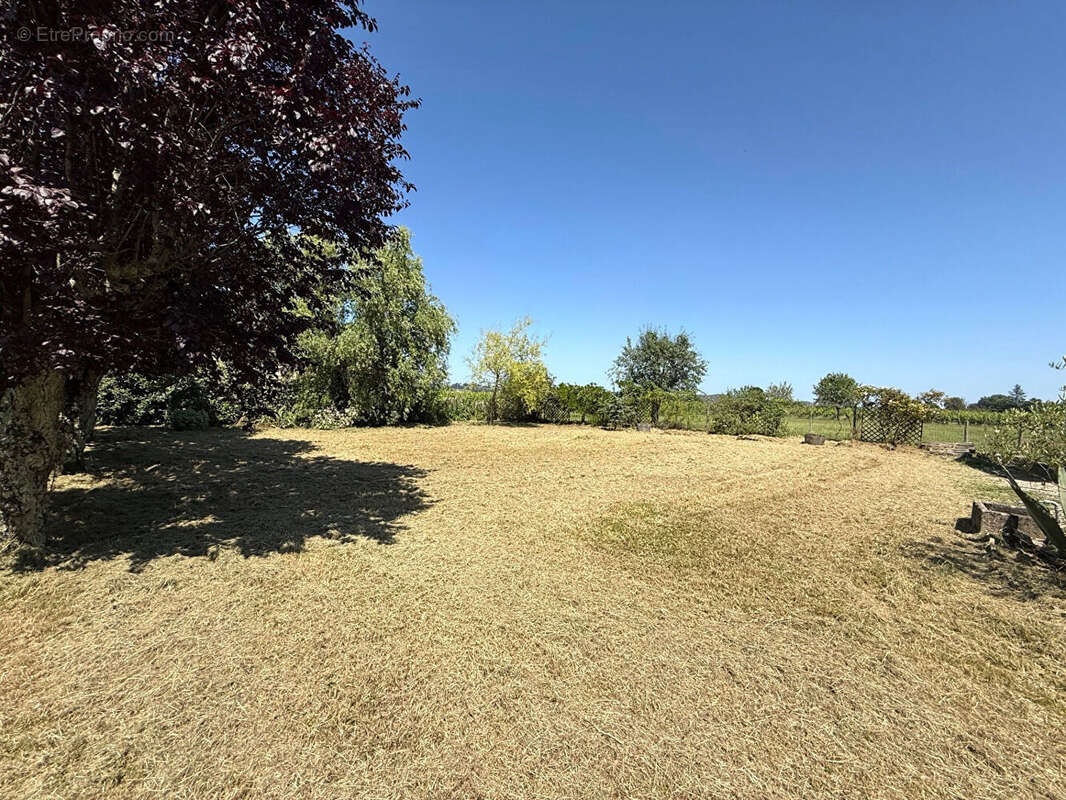 Maison 180m² à saint-émilion - photo 10