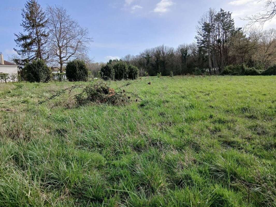 Terrain à MEDIS