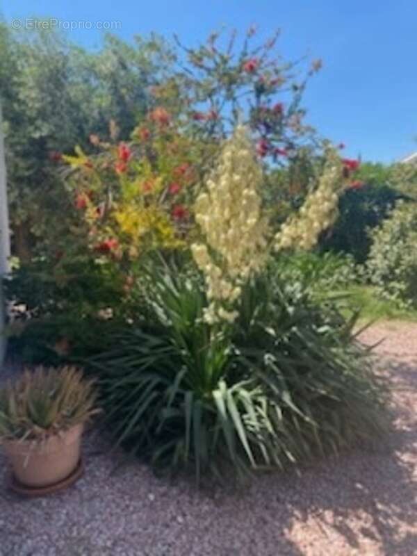Maison à RIEUX-MINERVOIS