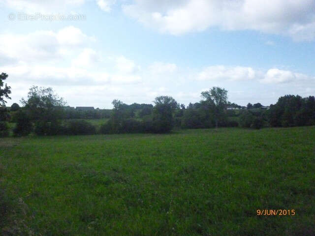 Terrain à MESNIL-CLINCHAMPS