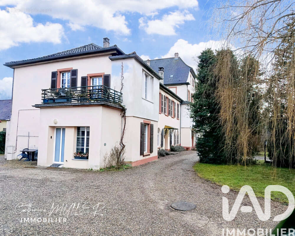 Photo 6 - Appartement à BUHL