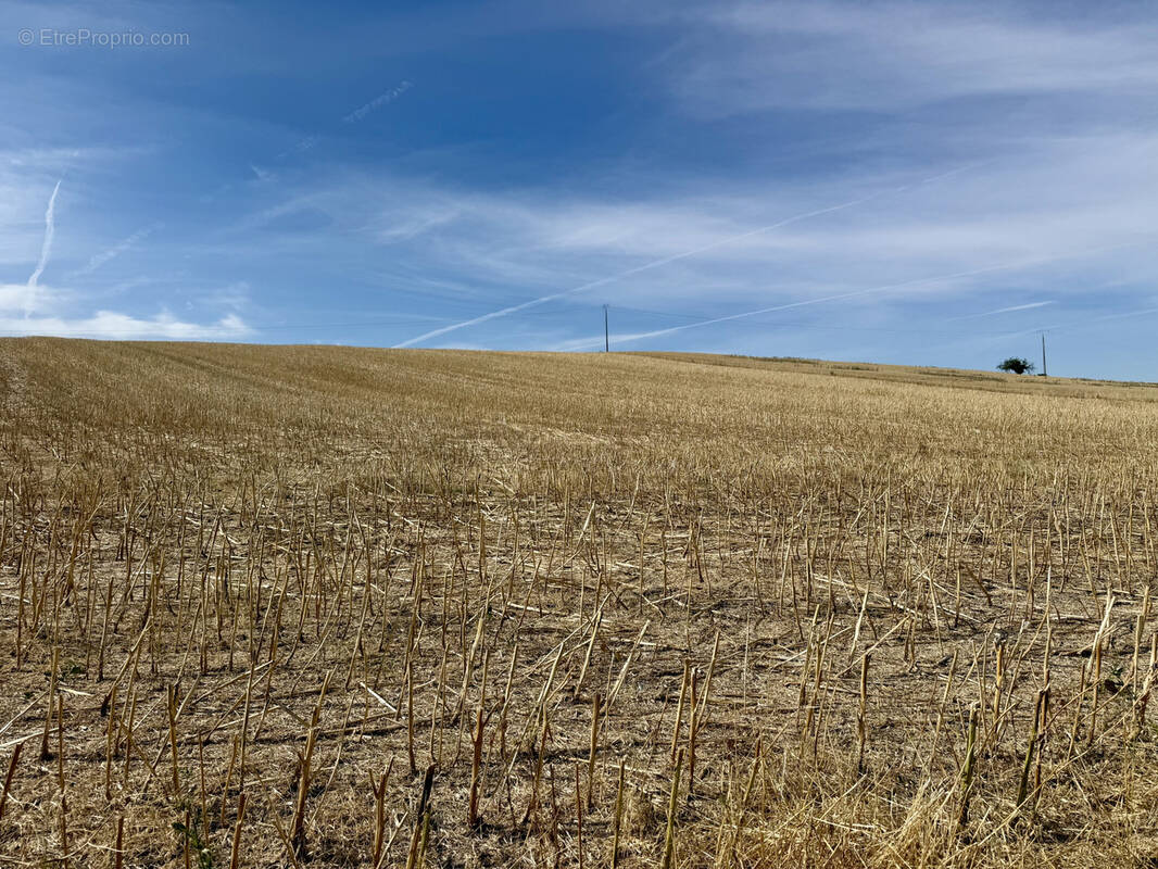 Terrain à LIREY