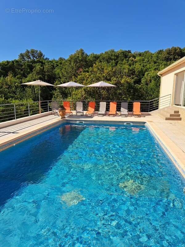 Maison de plain pied 170 m2, 5 chambres, piscine, garage, sans vis-à-vis,  terrain 5540 m2 à SAN NICOLAO, Moriani (HAUTE CORSE) - photo 19