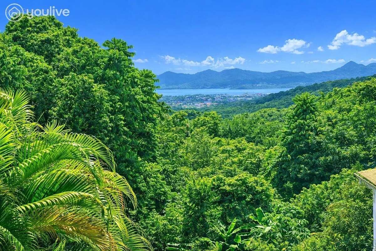 Maison à SAINT-JOSEPH