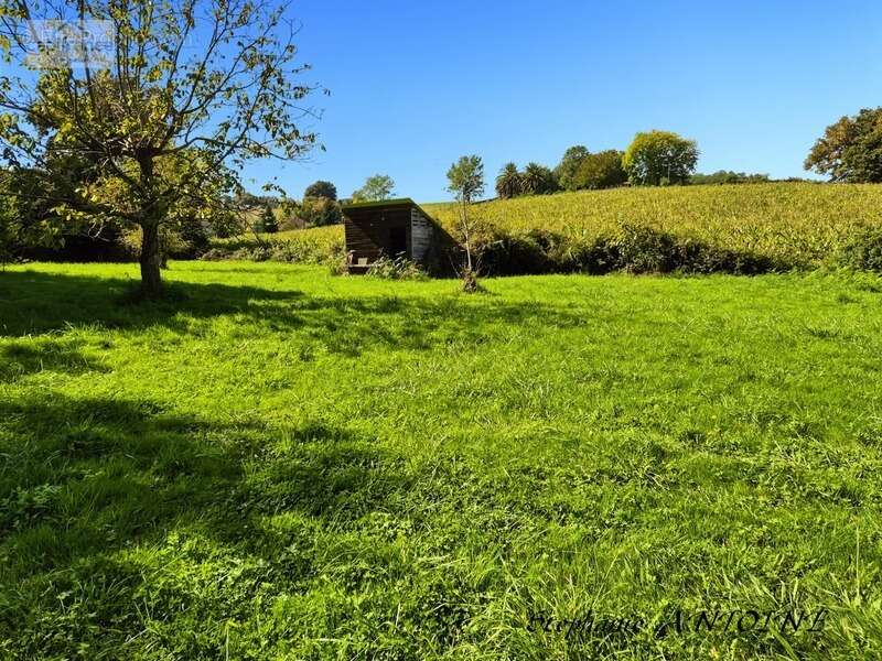 Maison de caractère 284 m² - 6 suites - Orthez - photo 19