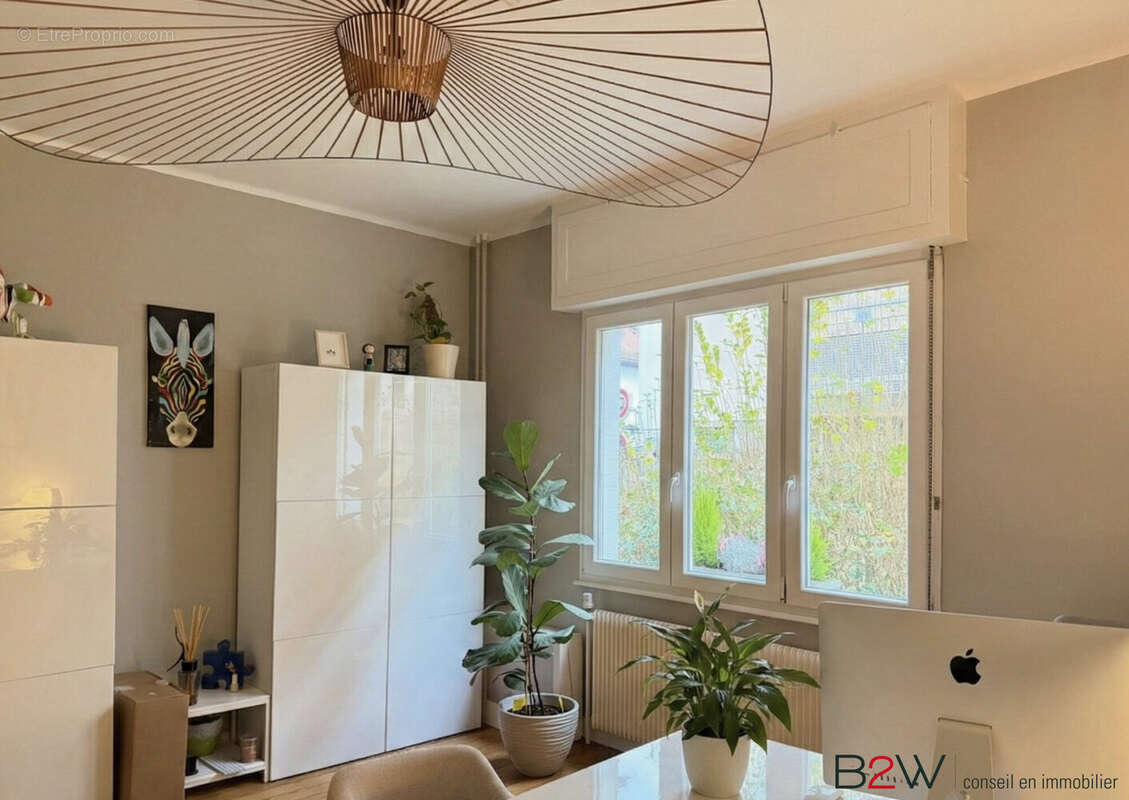 Commerce à SCHILTIGHEIM